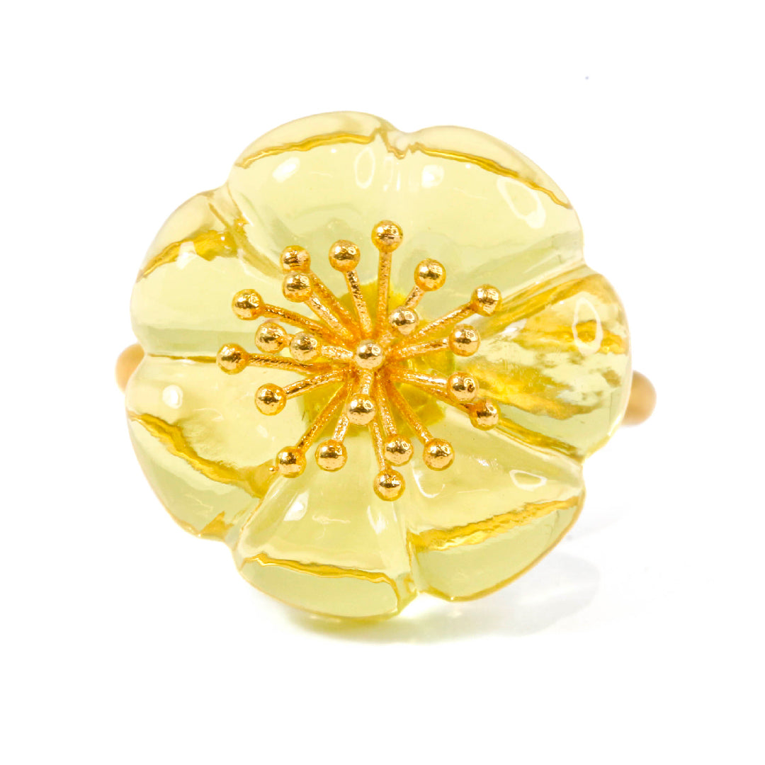 2006S.RGTLQ_US6_80428-lemon-